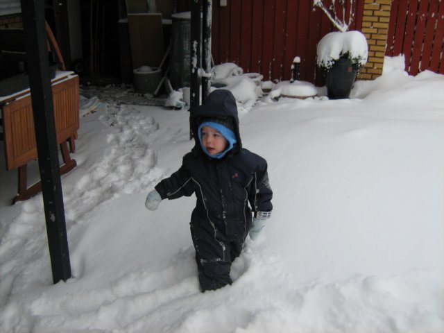 mormorjegtrordetersne.jpg