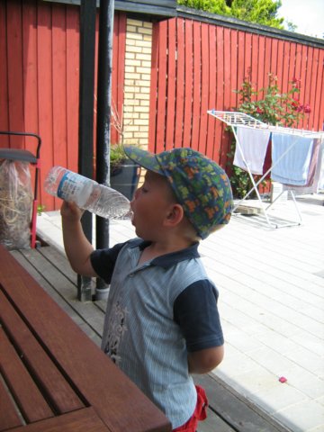 puhamanbliverhelttrstigafatkrerundtpterassen.jpg