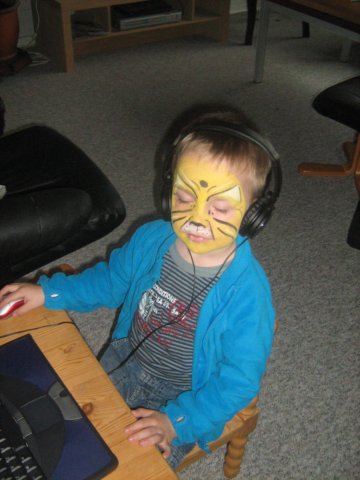 tigerdyretspillercomputer.jpg