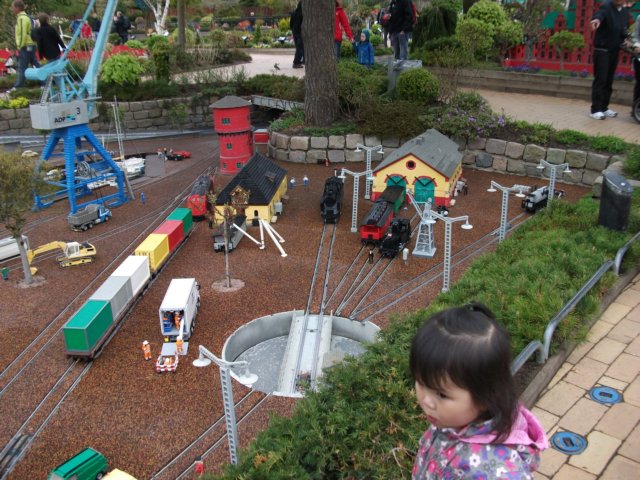 dscf0603.jpg