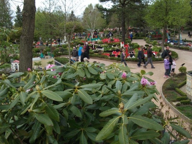 dscf0630.jpg