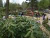 dscf0630_small.jpg