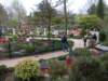 dscf0672_small.jpg